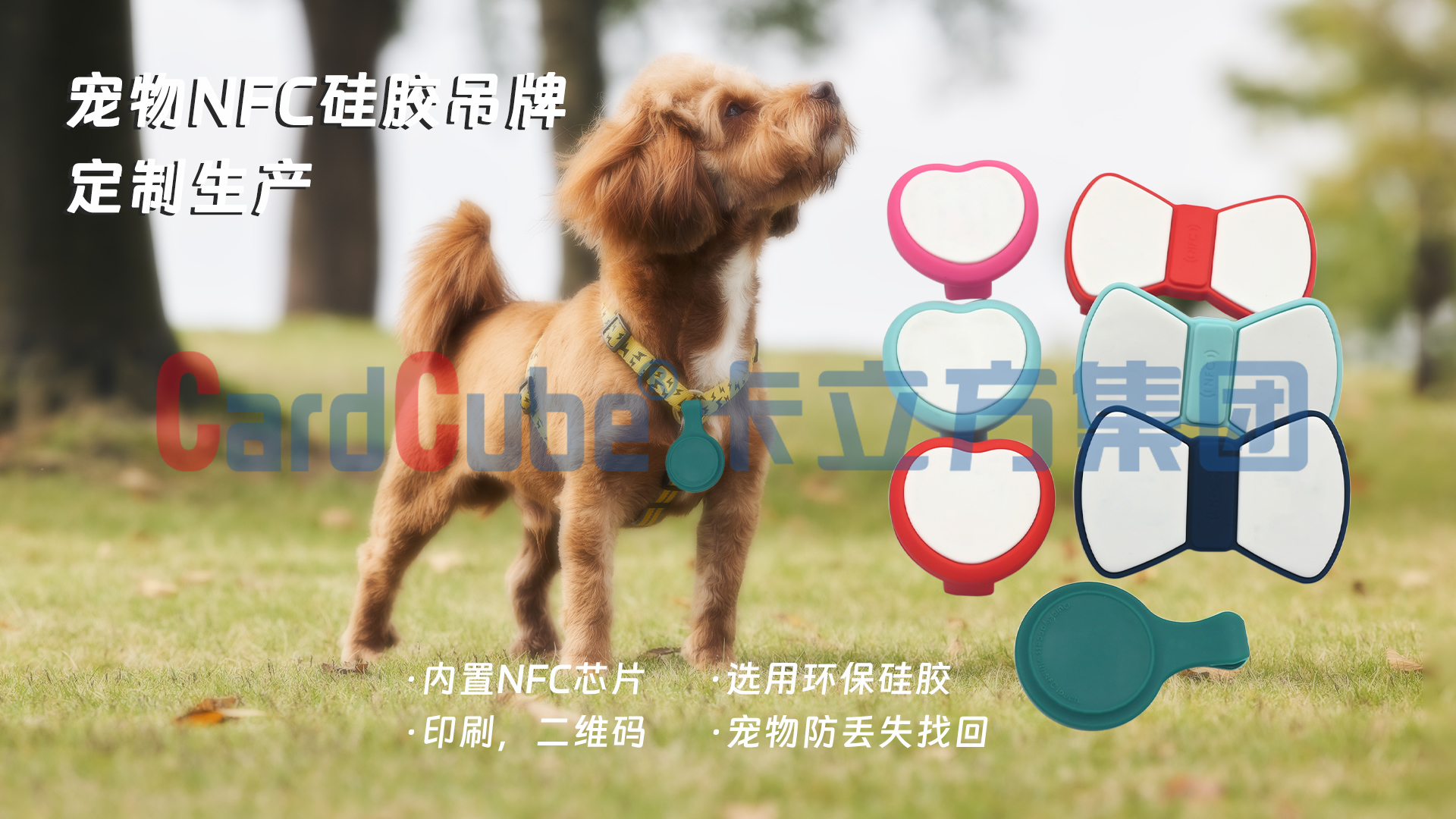 ΢��ͼƬ_20250305173845