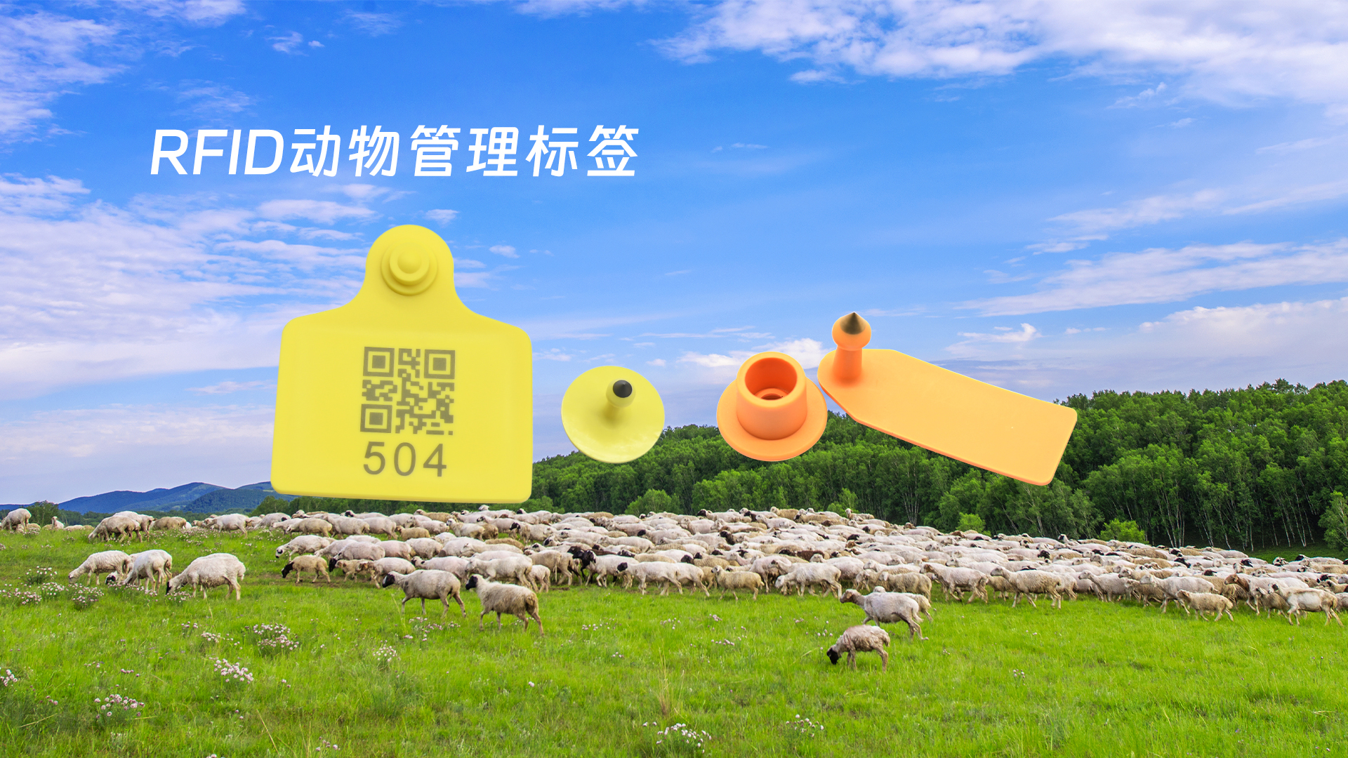 ΢��ͼƬ_20250319133626