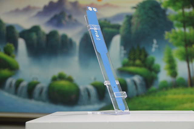 3D������������ЩЧ��