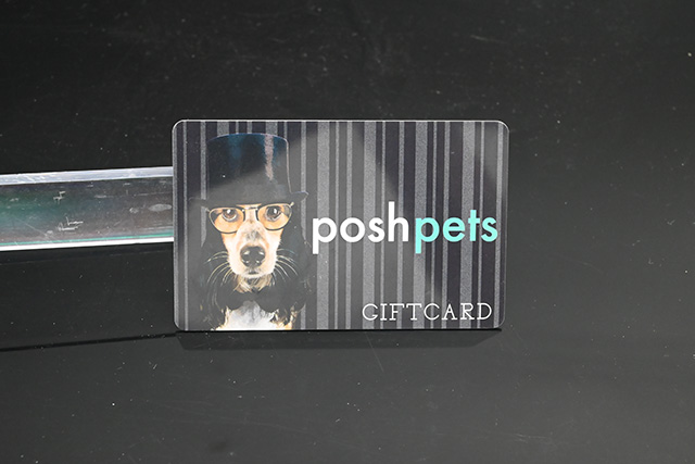 ���ڽӴ�ʽIC���͸�ӦʽIC���������ܿ������ܽӴ�