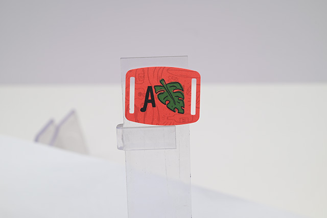 �����Żݿ�������ôд��������